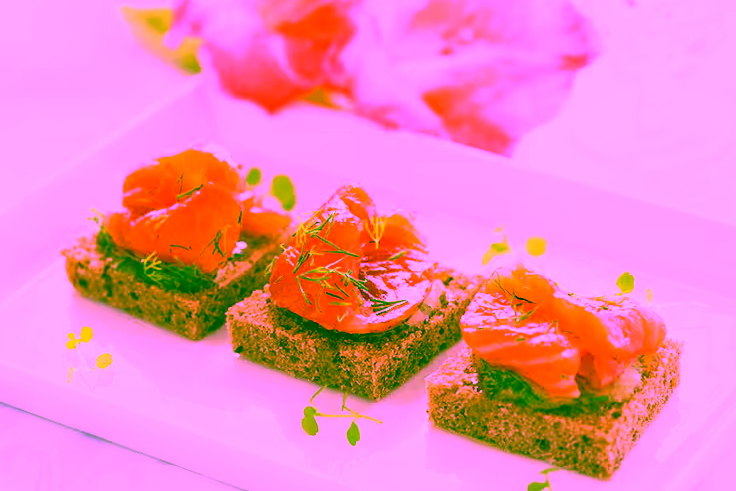 Salmon Gravlax