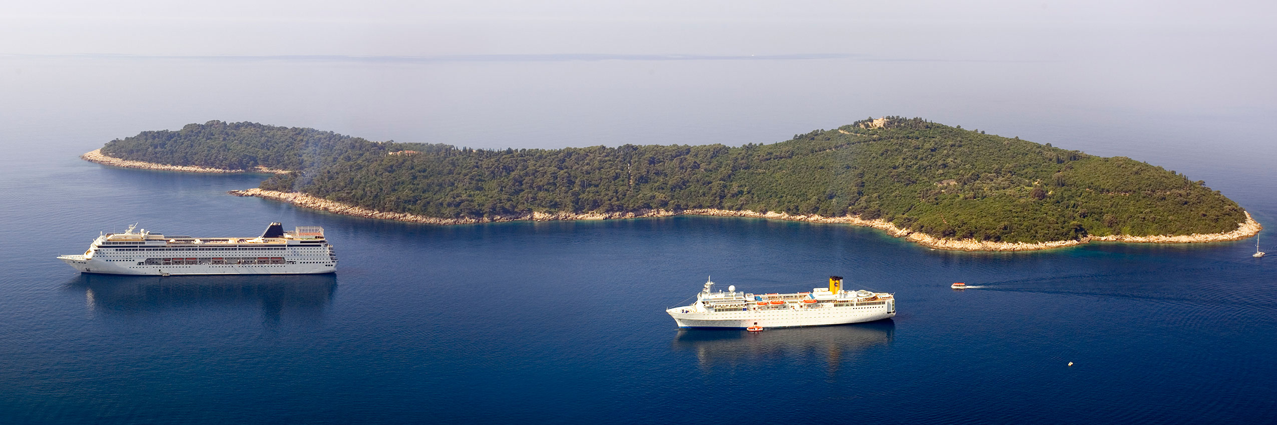 Wellness Cruises image